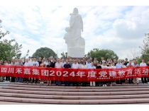 传承红色基因，拥抱智能未来 | 中共伟德国际1946源于英国集团党委举行庆祝“七一”党建活动